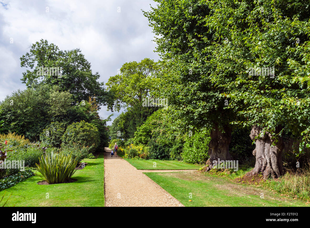 I giardini di Down House, casa di Charles Darwin e dove ha scritto "sull'origine delle specie", Downe, Greater London, Regno Unito Foto Stock