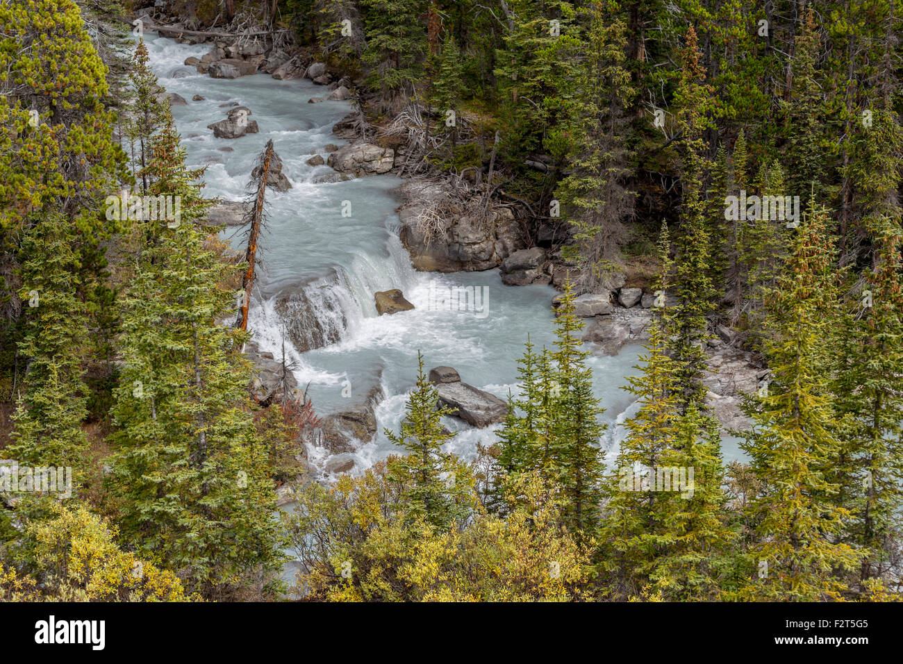 Elevato angolo di visione su Nigel Creek nel Parco Nazionale di Banff, nelle Montagne Rocciose Canadesi, Alberta, Canada, America del Nord. Foto Stock