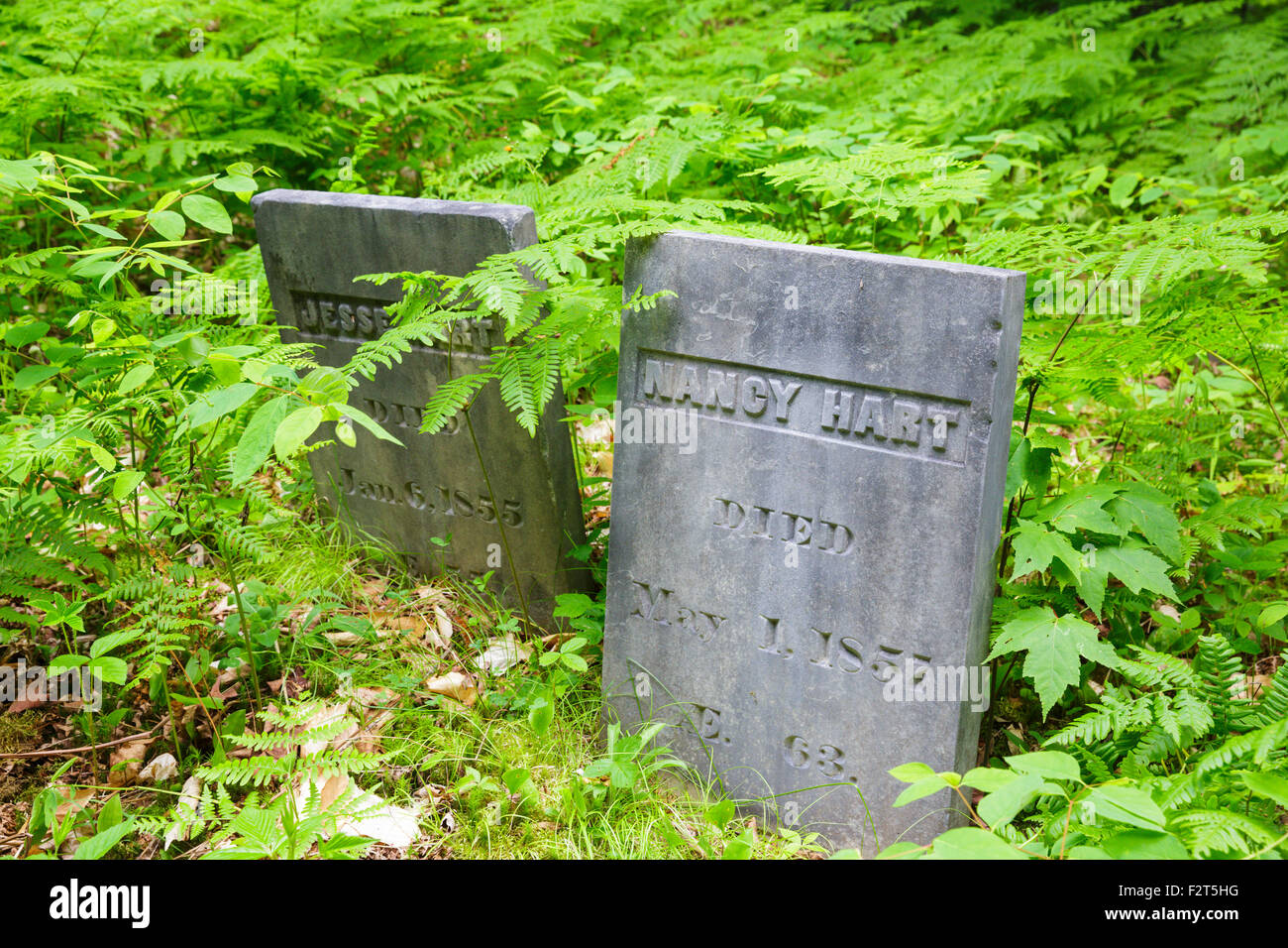 Cimitero a Thornton Gore in Thornton, New Hampshire USA. Thornton Gore era un vecchio hill farm comunità. Foto Stock