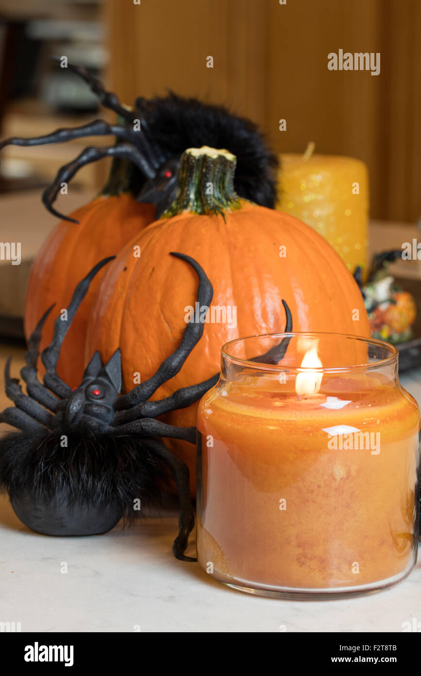 Candela accesa e Halloween spider seduto su di una zucca Foto Stock