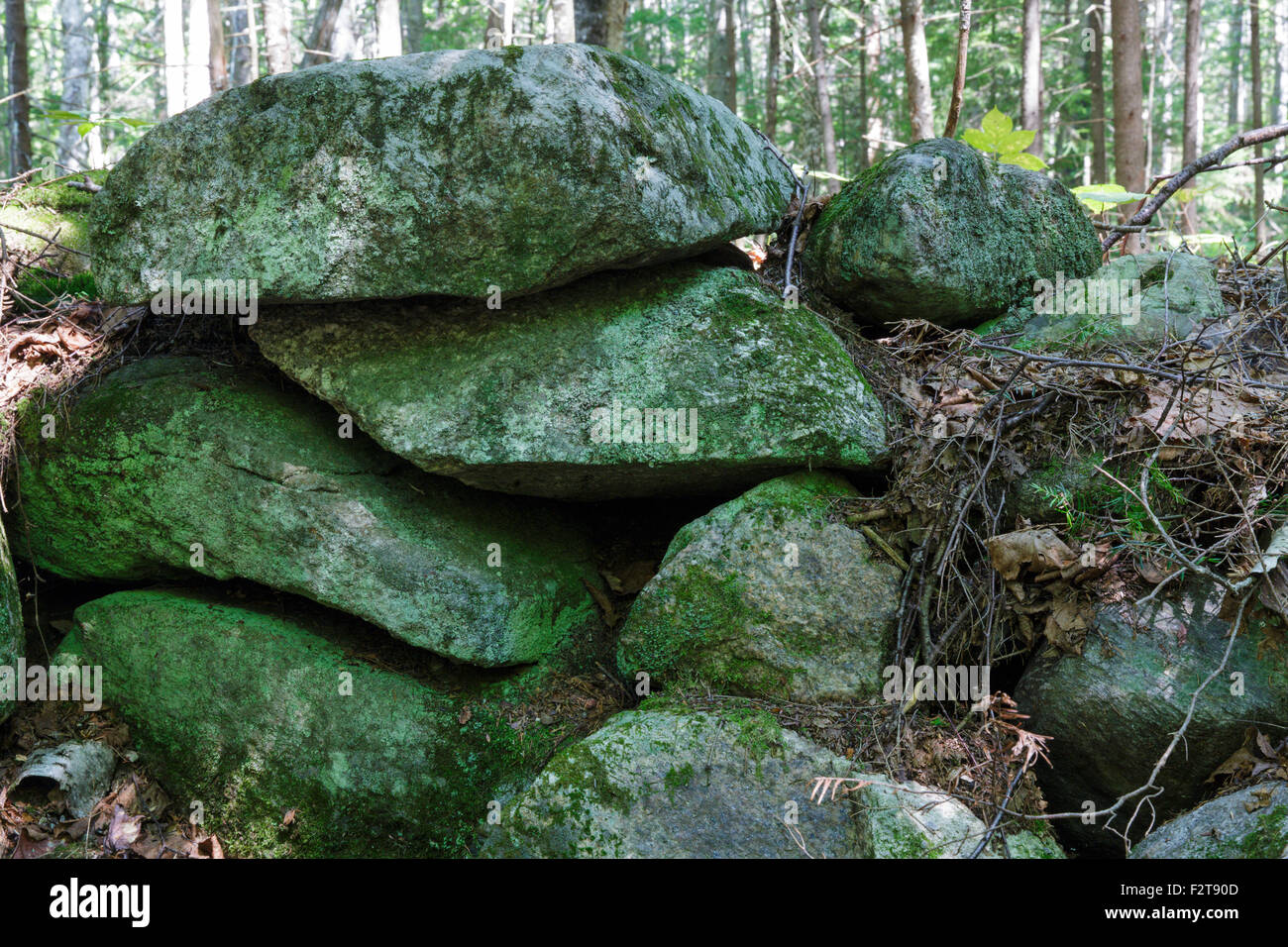 La Samuel Wallace Farm home site lungo il abbandonato a nord di strada nella gamma di Sandwich deserto del New Hampshire. Foto Stock