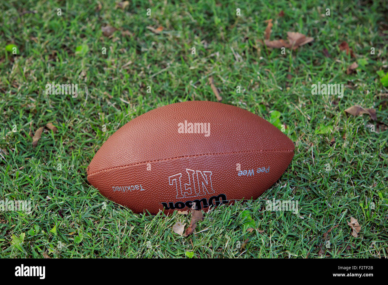 Calcio in erba Foto Stock