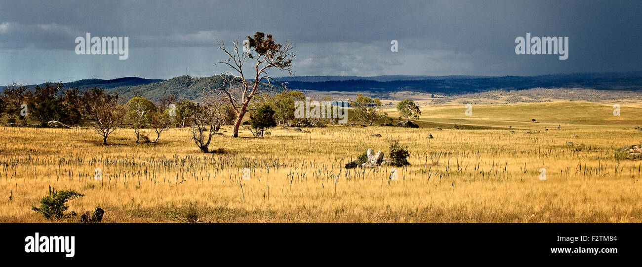 Australia: nuvole temporalesche vicino Berridale, montagne innevate, NSW Foto Stock