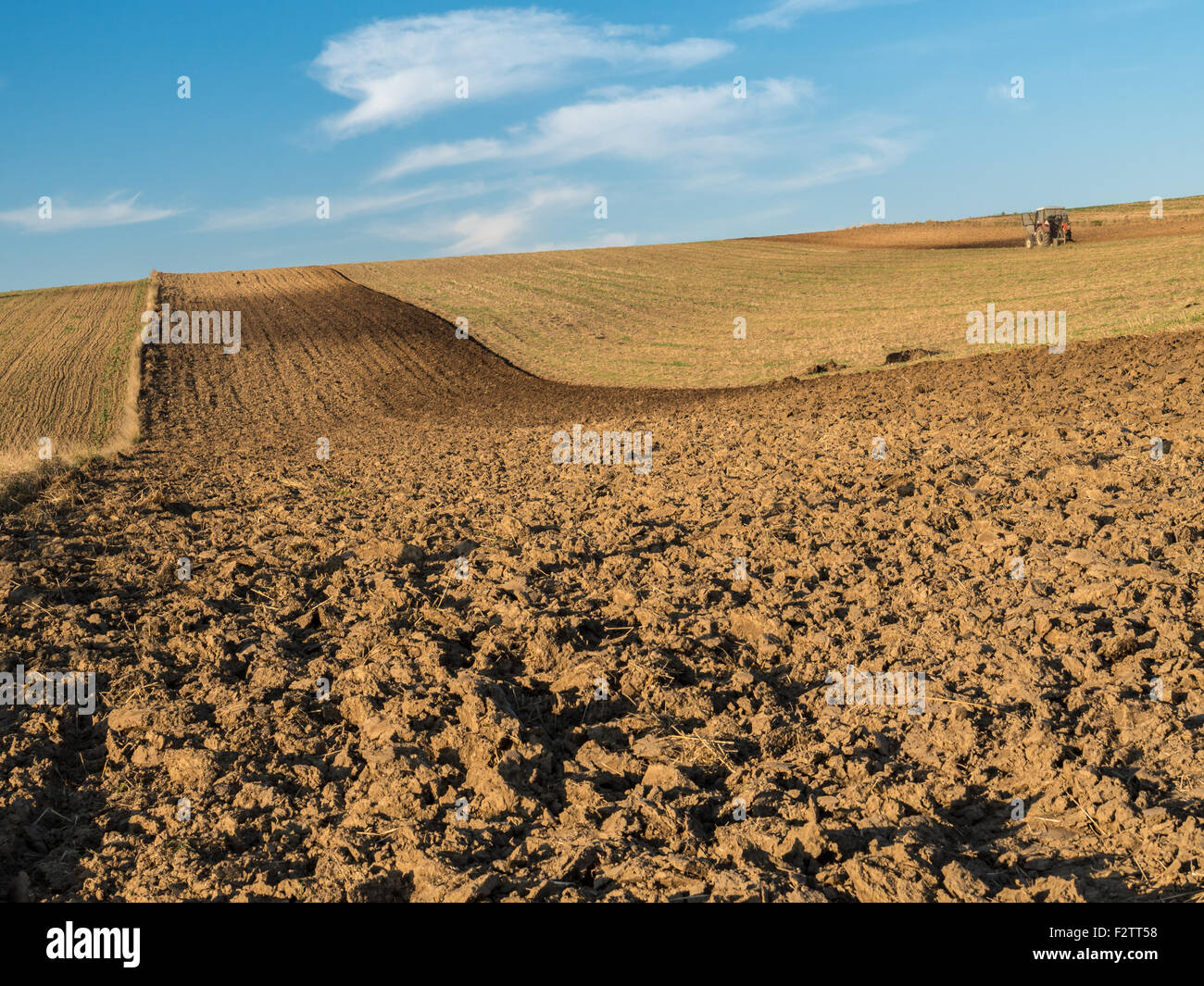 Trattore agricolo straziante campo di seminativi Foto Stock