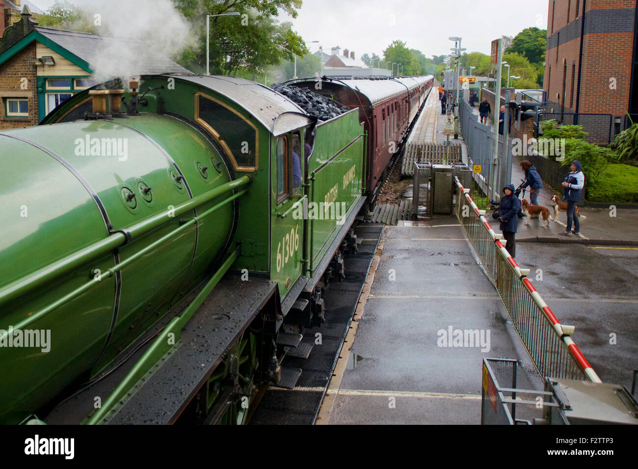 Reigate, Surrey, Regno Unito. 24 Settembre, 2015. La Cattedrale di LNER Express B1 classe 4-6-0 n. 61306 "Mayflower" treno a vapore che percorre a piedi del North Downs attraverso Reigate, Surrey, 0901hrs Giovedì 24 Settembre 2015 en route a Worcester. Credito: Foto di Lindsay Constable/Alamy Live News Foto Stock