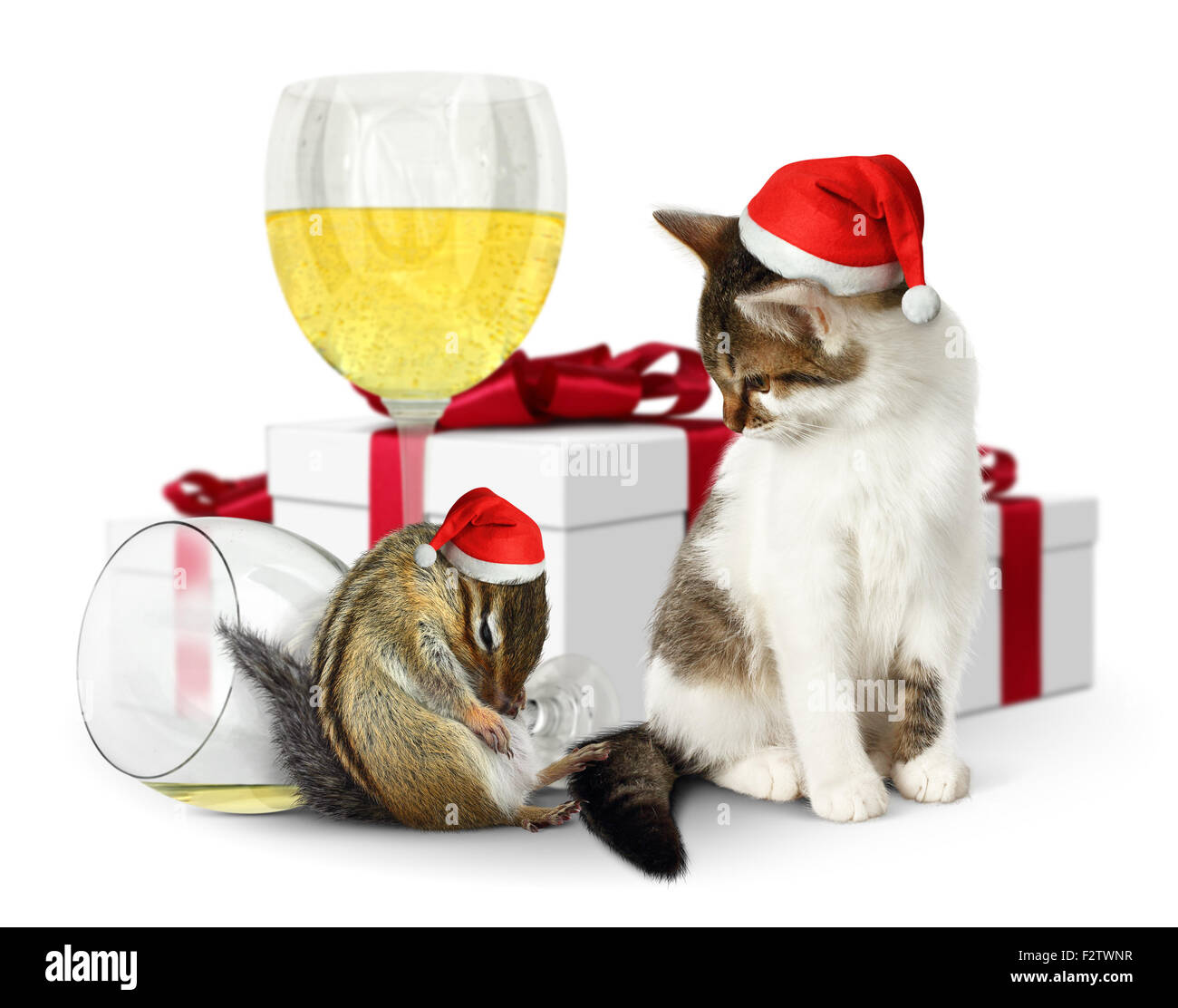 Concetto Di Natale Ubriaco Scoiattolo E Gatto Con Il Cappello Da