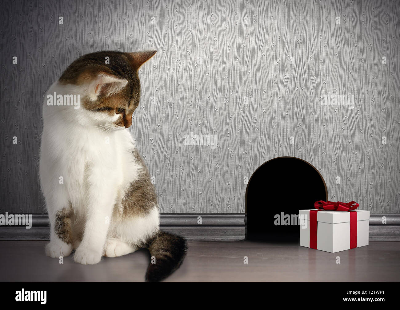 Concetto di trappola, gatto con il dono in prossimità di un foro del mouse Foto Stock