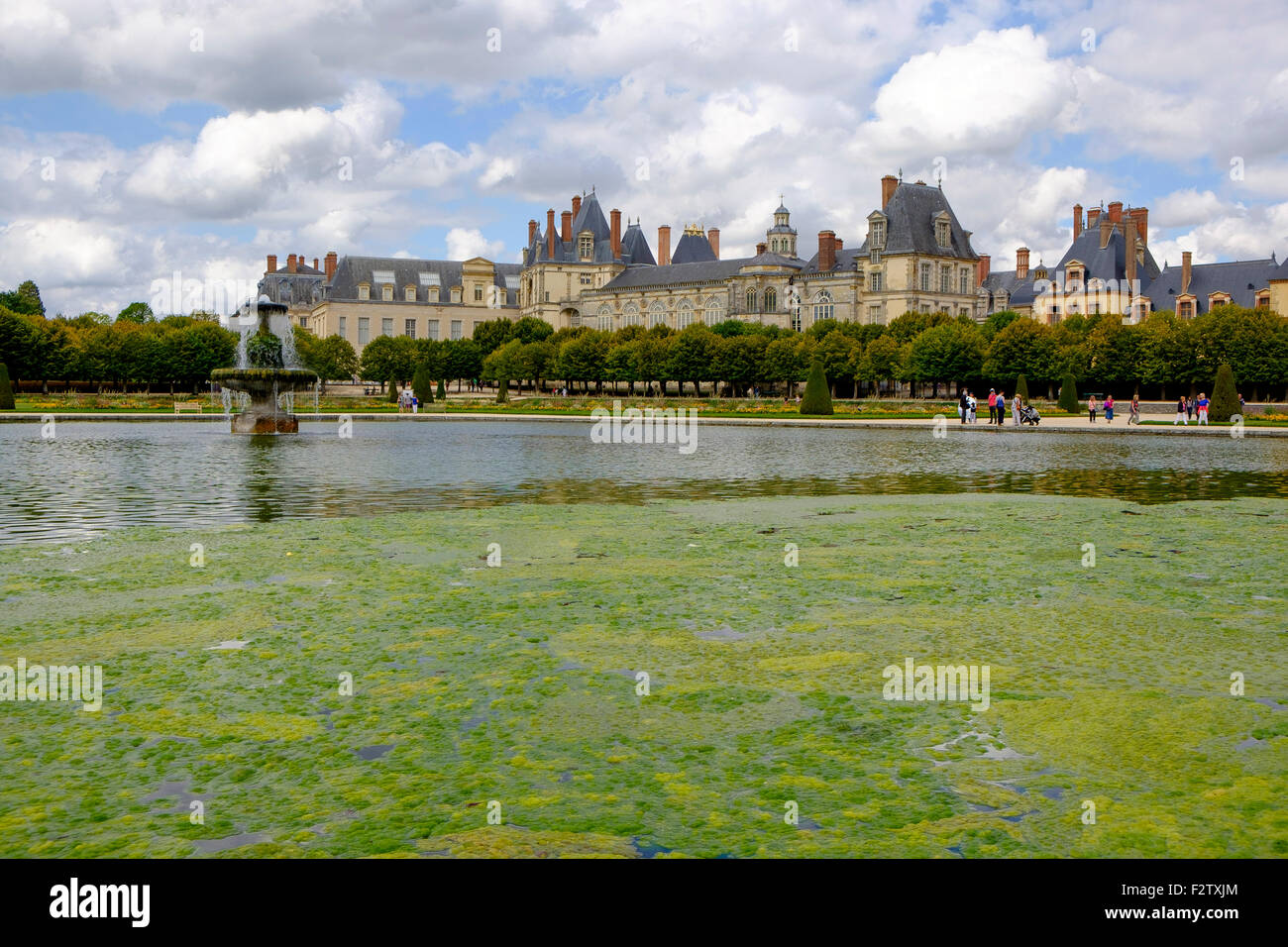 Coperta infestante nel laghetto ornamentale di Le Grand Parterre - i giardini di Chateau de Fontainebleau Palace Foto Stock