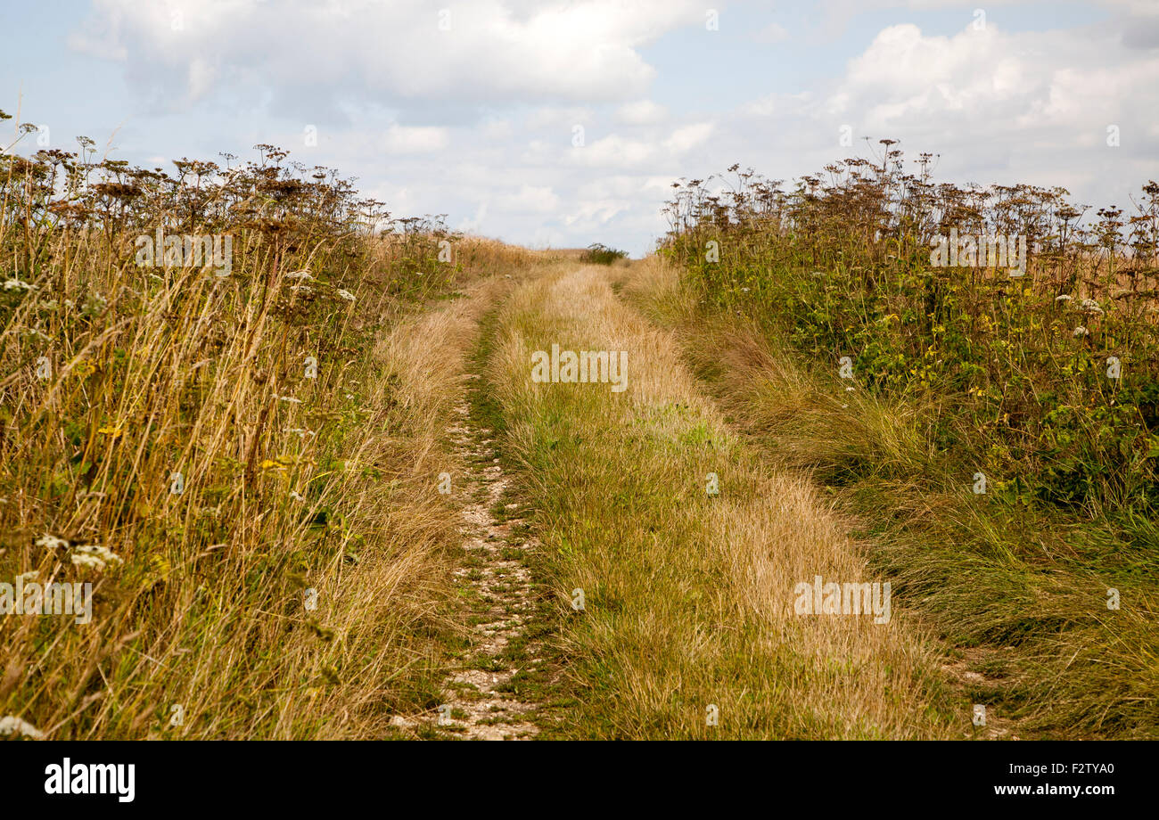 Tratto della salita dell'antico percorso Ridgeway attraversando chalk downland vicino Liddington Castle, Wiltshire, Inghilterra, Regno Unito Foto Stock