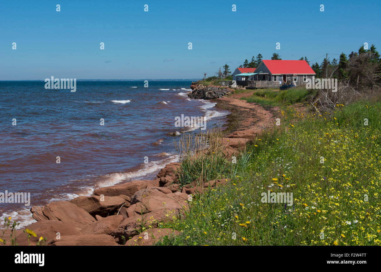 Canada Prince Edward Island, P.E.I. Punto di prim a riva e onde con Red Roof casa in estate con fiori selvatici Foto Stock