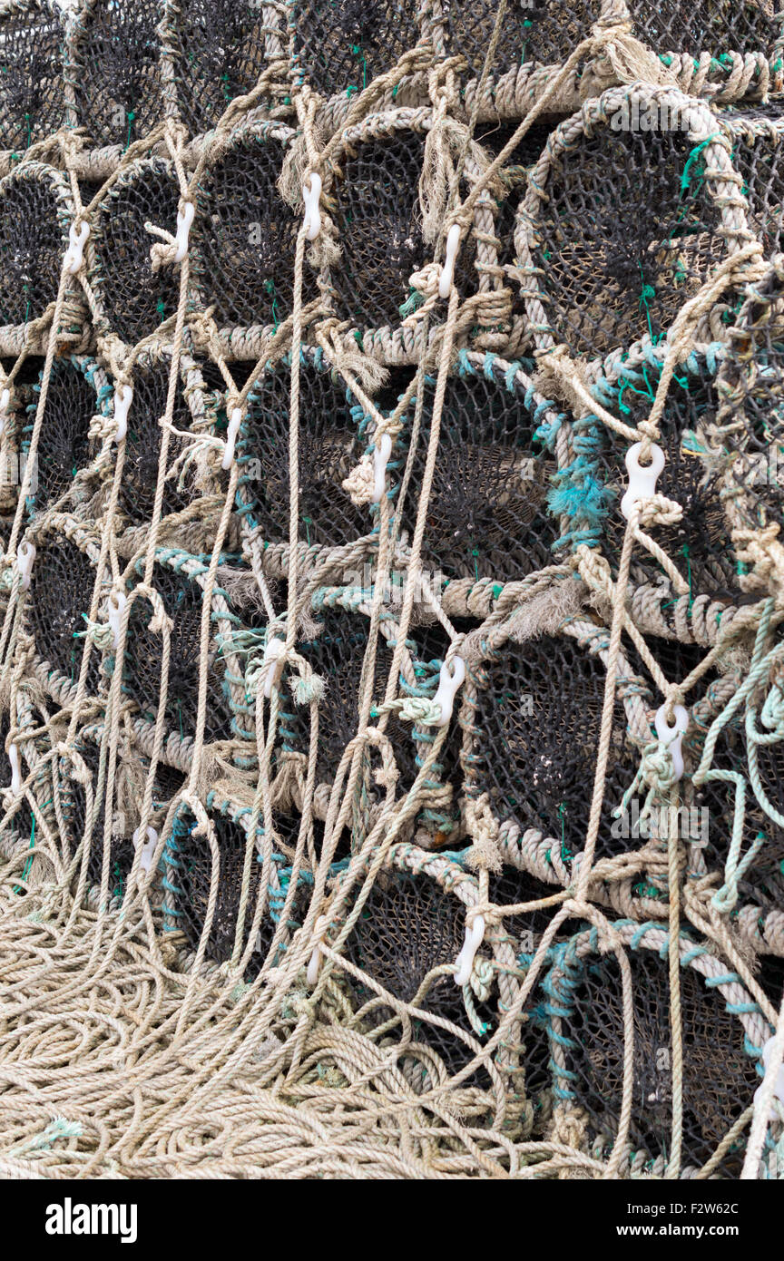 Aragosta e granchio cantre/POTS Foto Stock