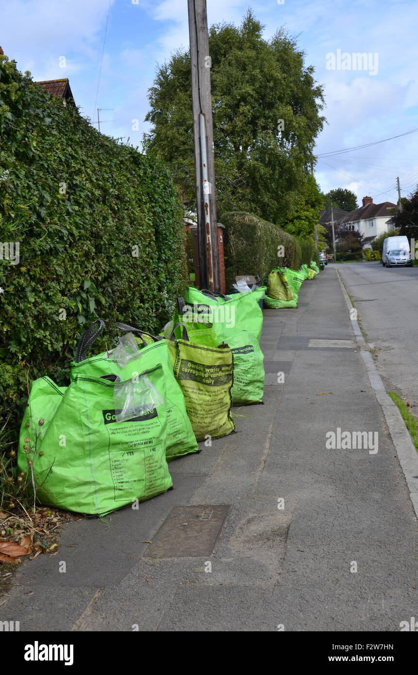 Green sacchi per immondizia messo fuori per la raccolta in Long Ashton area di Bristol. Robert Timoney. Foto Stock