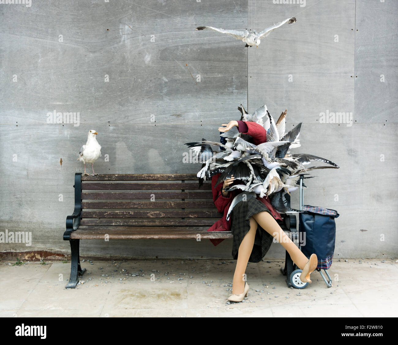 Gabbiani che attacca lady su un banco, un'installazione a Banksy's Dismaland. Foto Stock