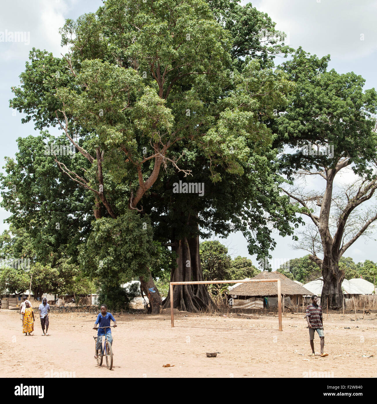 Scena di strada in Guinea Bissau residenti a piedi e in bicicletta equitazione presso un campo da calcio e un albero gigante in una zona rurale villaggio africano Foto Stock