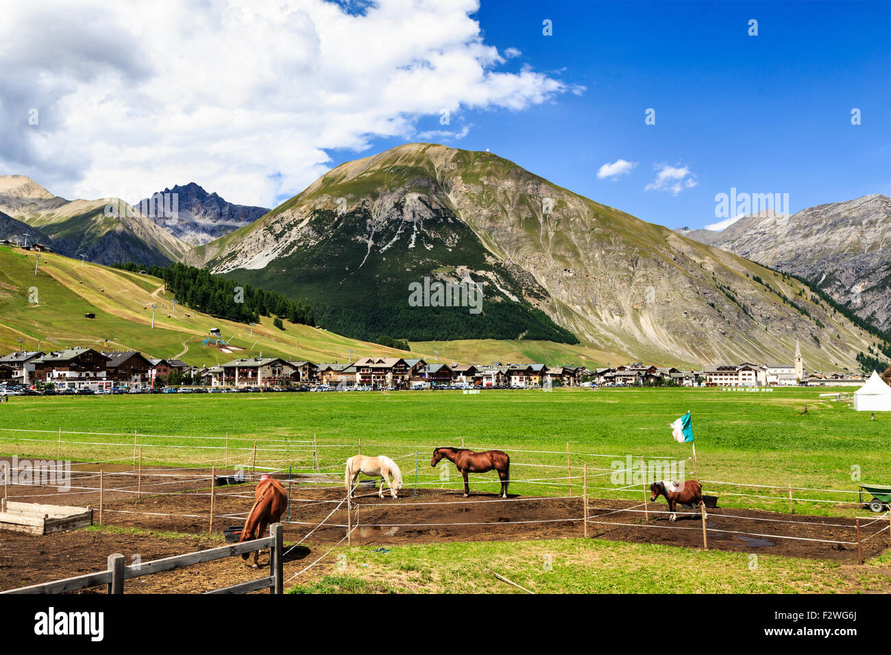 Cavalli il roaming libero in un paddock in una verde vallata alpina a Livigno, Italia con un tradizionale chalet in legno visibile in Foto Stock