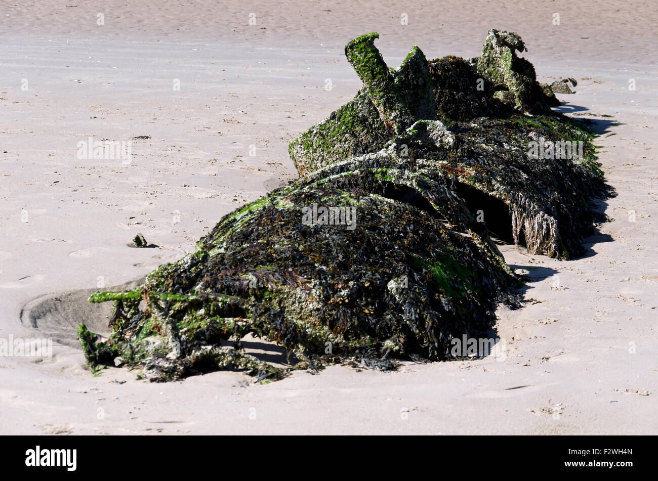 Uno dei due XT Craft (formazione in miniatura sottomarini) che sono stati legati in a Aberlady Bay nel 1946 per il tiro al bersaglio da RAF. Foto Stock