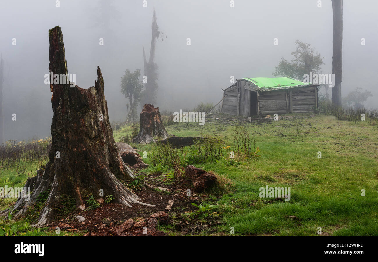 Una piccola capanna in legno dei Brokpa tribù nomadi avvolta nella nebbia di mattina situati in alta montagna vicino a Dirang. Foto Stock Una piccola capanna in legno dei Brokpa tribù nomadi avvolta nella nebbia di mattina situati in alta montagna vicino a Dirang. Foto Stock