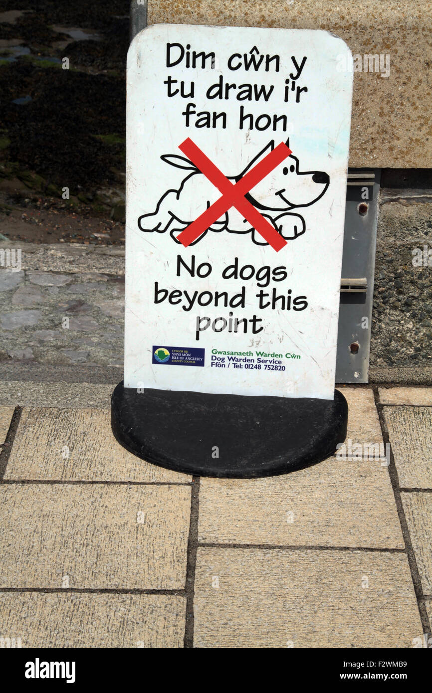 Firmare la gente di disegno attenzione ai cani sulla spiaggia in gallese e inglese Foto Stock