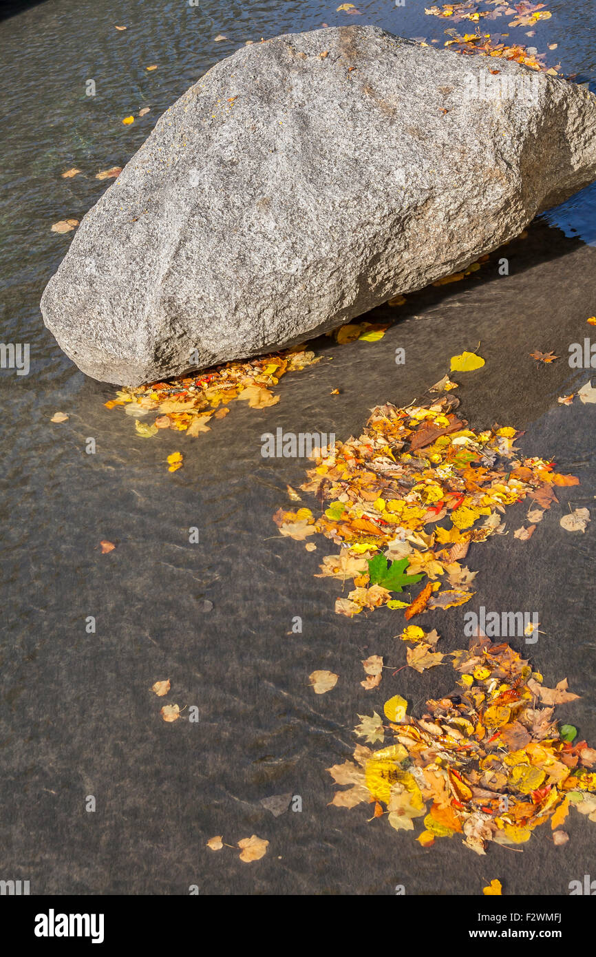 Pietre e foglie di autunno sull'acqua Foto Stock