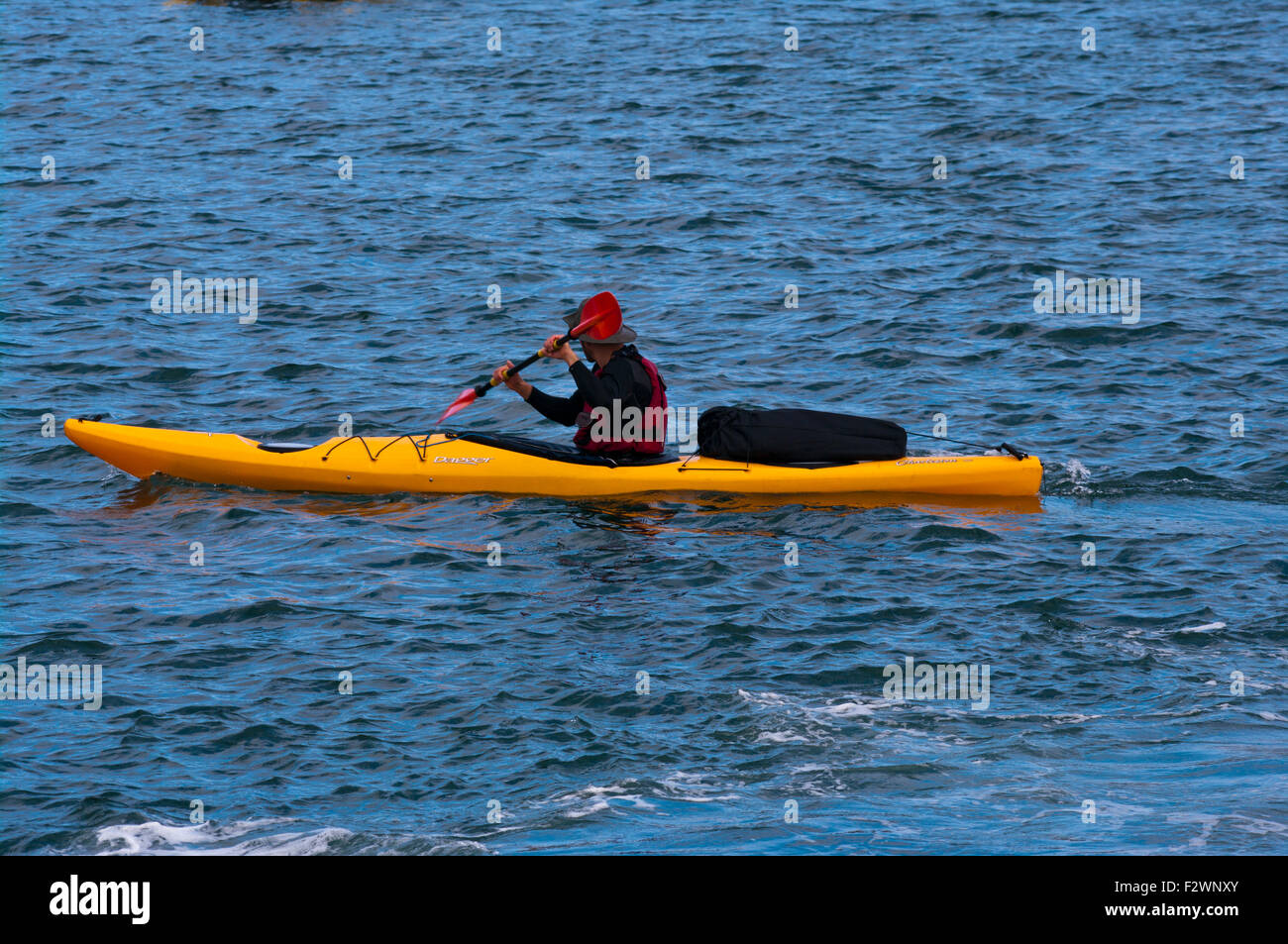 Vista laterale di una persona per sguazzare un pugnale giallo Kayak Foto Stock