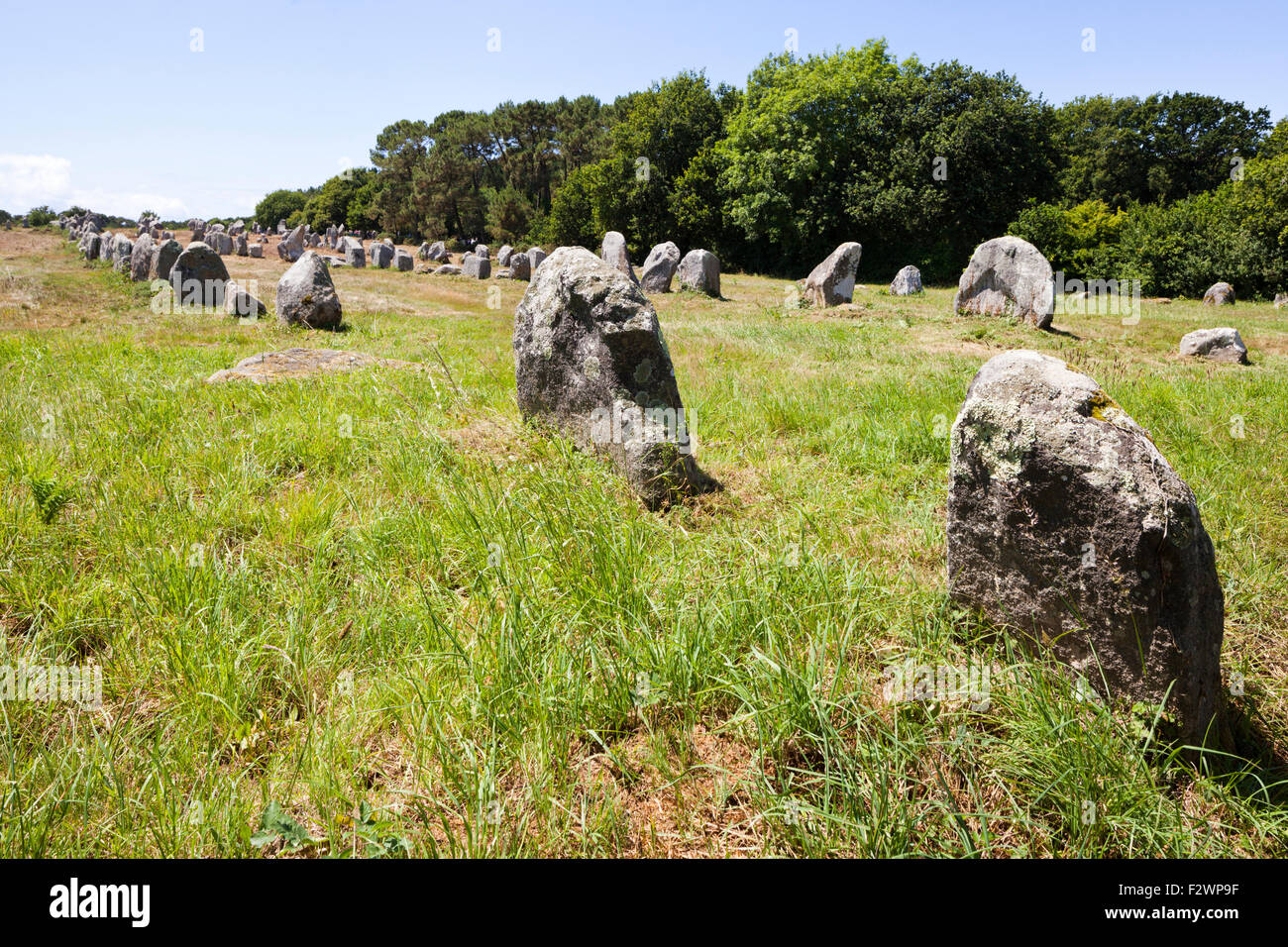 Alcuni dei più di 3000 pietre permanente dal neolitico a Carnac, Brittany, Francia Foto Stock