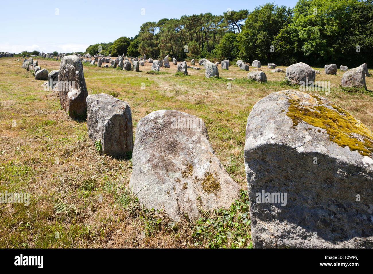 Alcuni dei più di 3000 pietre permanente dal neolitico a Carnac, Brittany, Francia Foto Stock