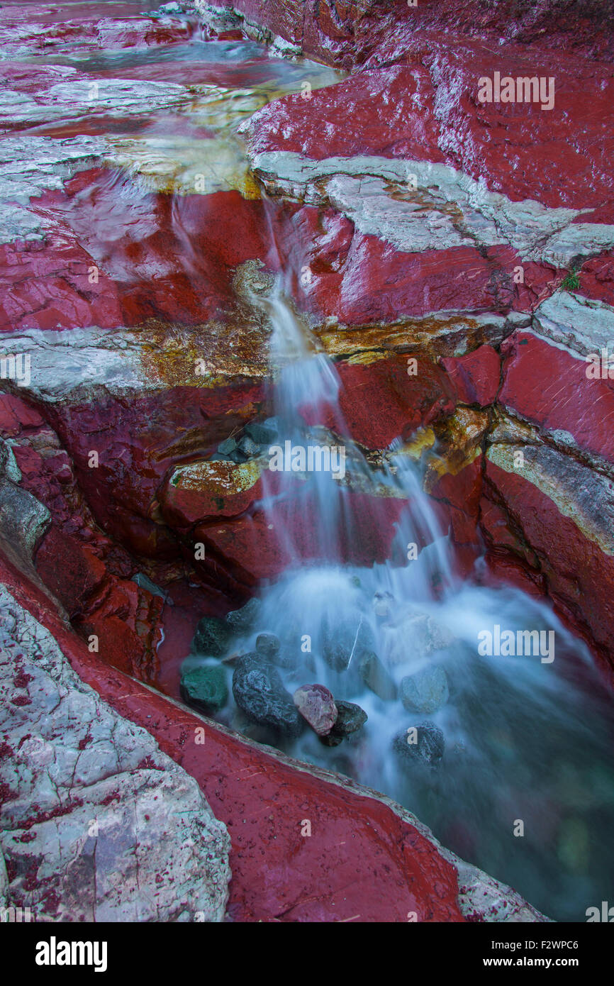 Argillite sedimentaria strati minerali in Lost Horse Creek, il Red Rock Canyon, il Parco Nazionale dei laghi di Waterton, Alberta, Canada Foto Stock