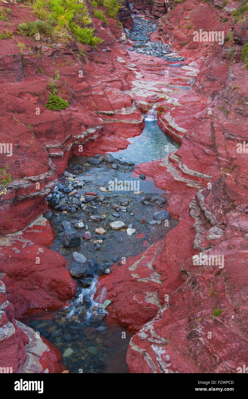 Argillite sedimentaria strati minerali in Lost Horse Creek, il Red Rock Canyon, il Parco Nazionale dei laghi di Waterton, Alberta, Canada Foto Stock