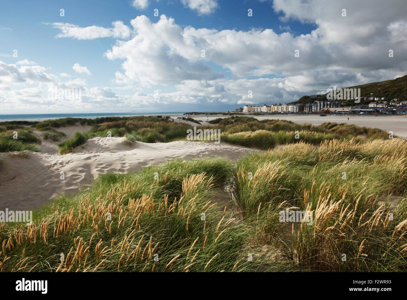 Le dune di sabbia su Barmouth Beach. Parco Nazionale di Snowdonia. Gwnedd. Il Galles. Regno Unito. Foto Stock