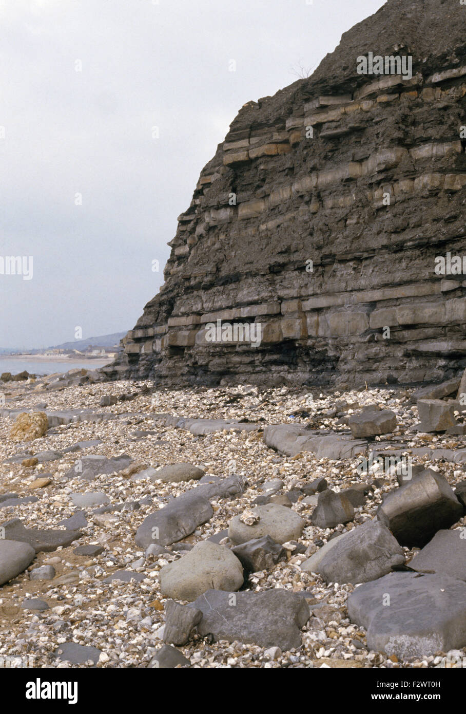 Scogliere rocciose lungo la costa del Dorset Foto Stock