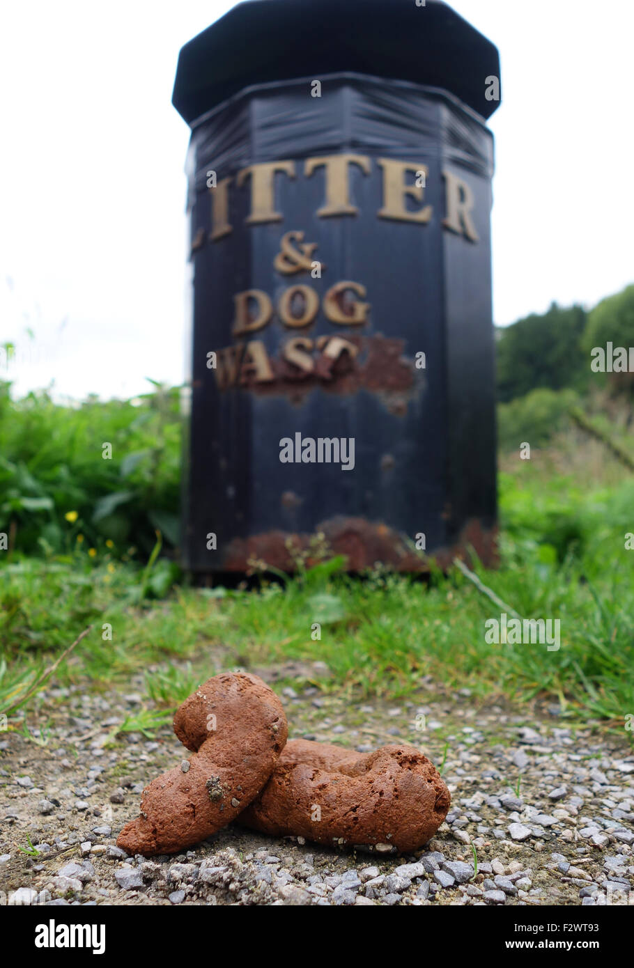Dog Poo rifiuti percorso di sporcamento accanto al vassoio di lettiera feci uk irresponsibe proprietario del cane proprietari Foto Stock