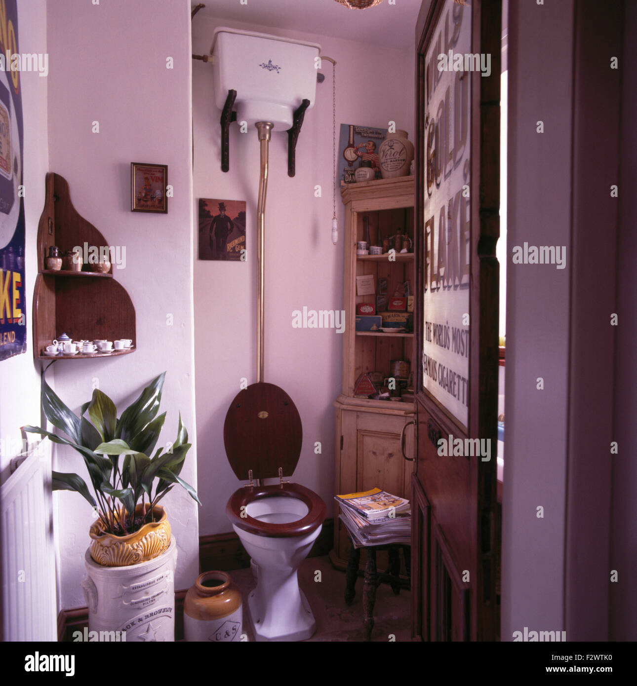 Aspidistra in pentola accanto al vecchio wc in novanta guardaroba Foto Stock