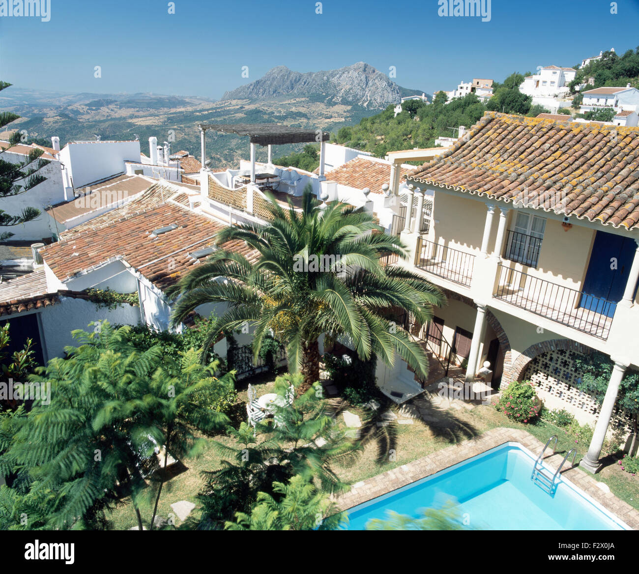 Birdseye vista di palme nel giardino della villa di spagnolo Foto Stock