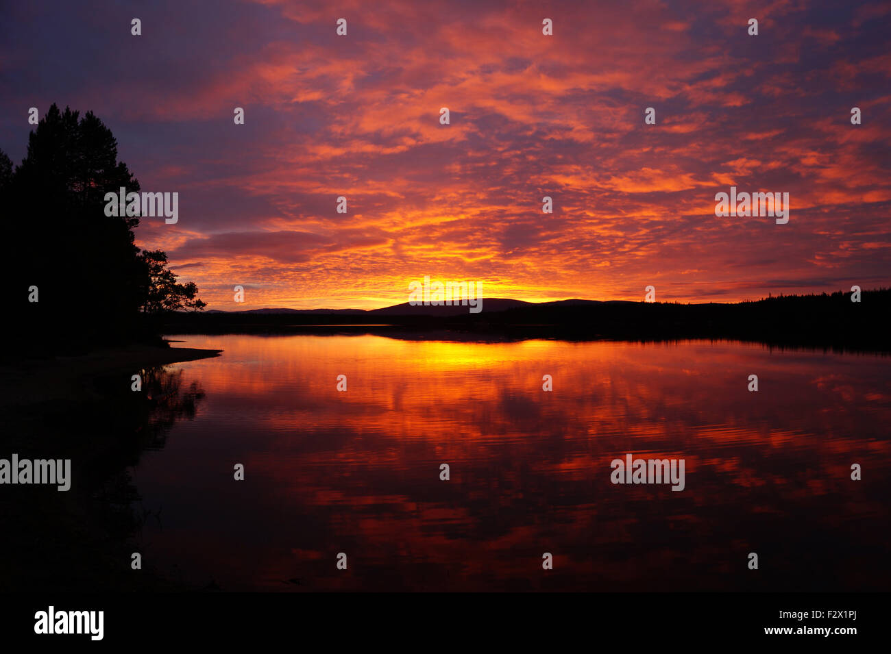 Loch Morlich colorato tramonto nuvole orizzonte paesaggio con albero Foto Stock