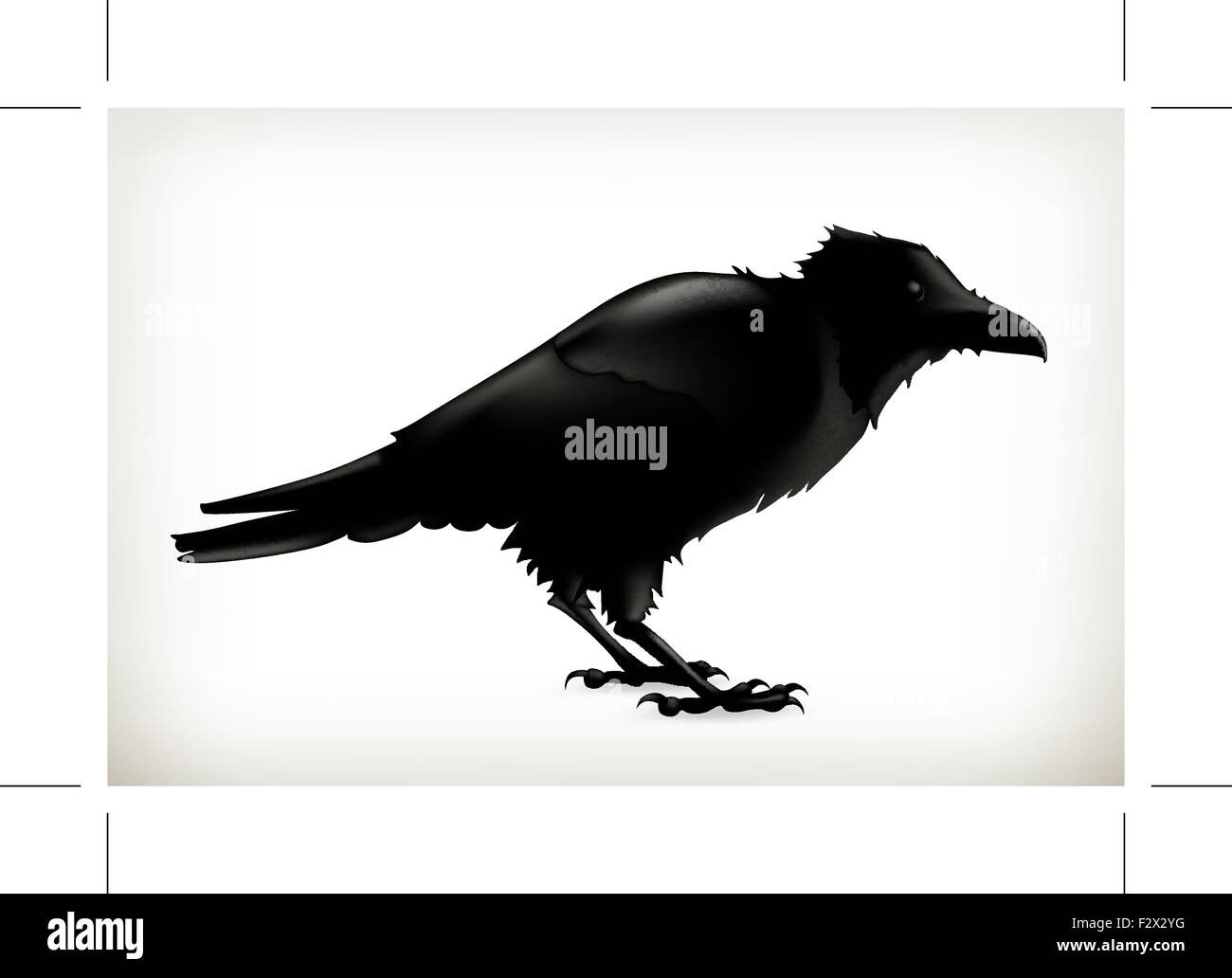 Black raven, vettore silhouette Illustrazione Vettoriale