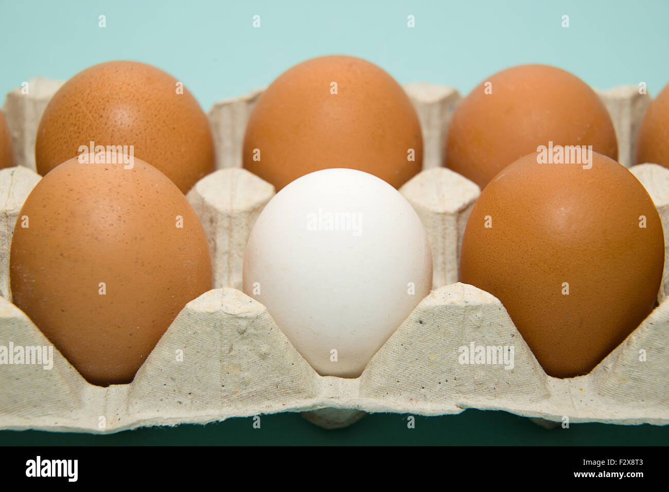 Uova di gallina di diversi colori nella confezione su blu Foto Stock