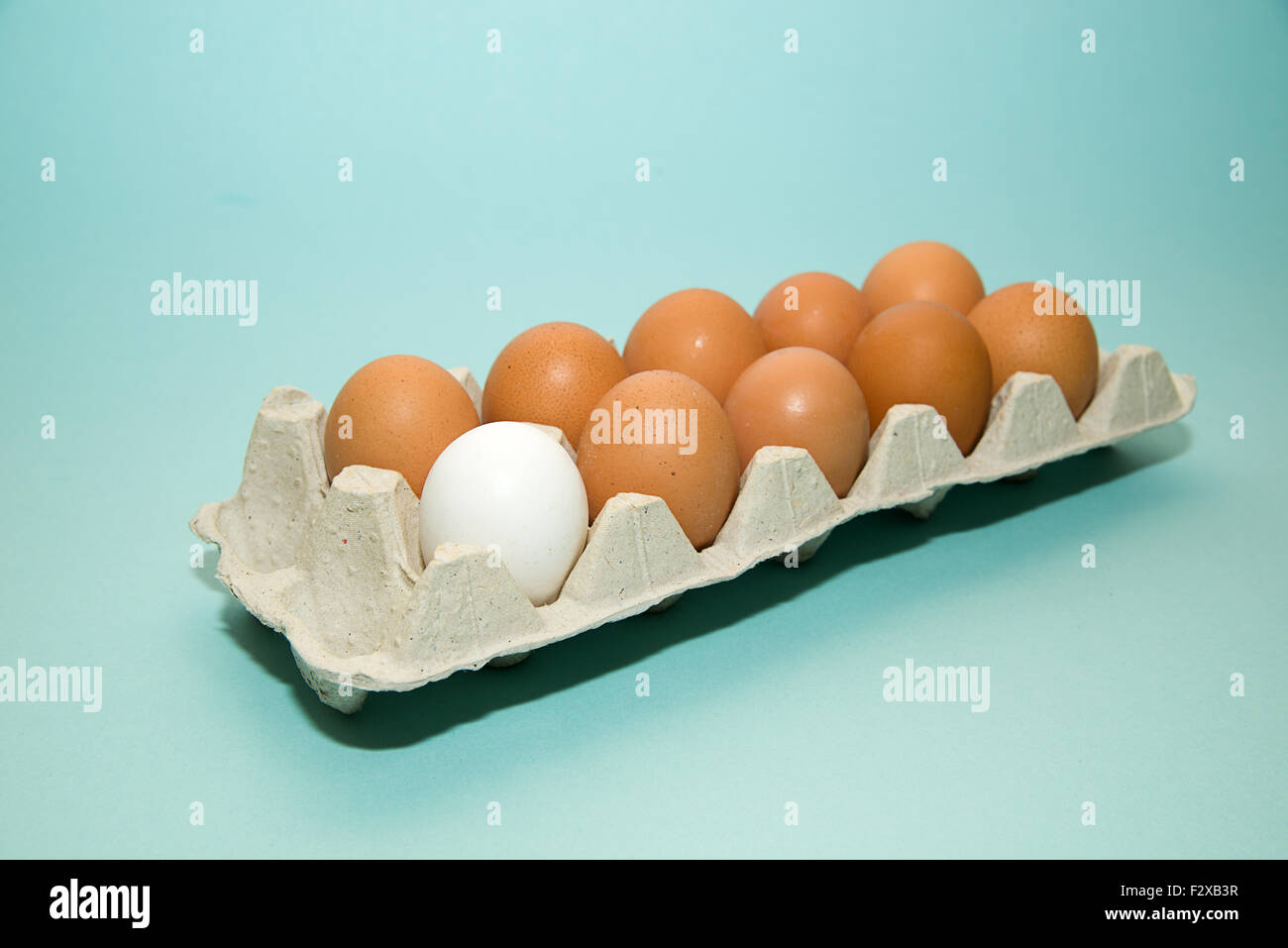 Uova di gallina di diversi colori nella confezione su blu Foto Stock