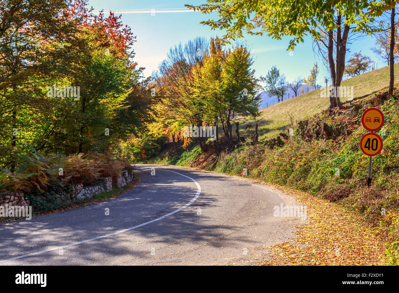 Paesaggio autunnale con il trasporto su strada e splendidi alberi colorati nei Carpazi. Transilvania,Romania. L'Europa. Foto Stock