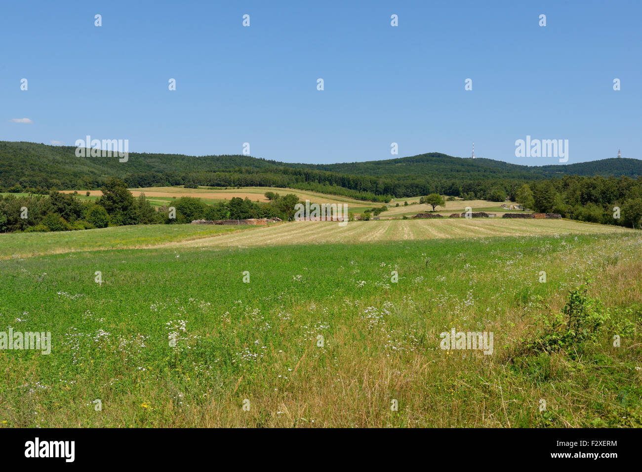 Vicino Althodis, parco naturale Geschriebenstein-Írottkő in Althodis, Kőszeg montagne, Burgenland meridionale, Burgenland, Austria Foto Stock