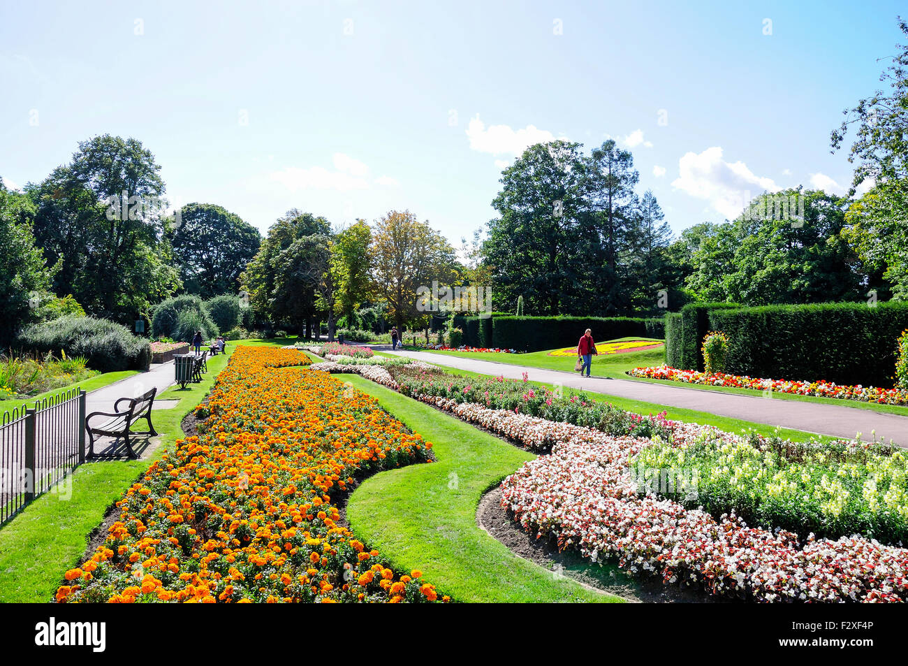 Letti di fiori, Central Park, Dartford Kent, England, Regno Unito Foto Stock