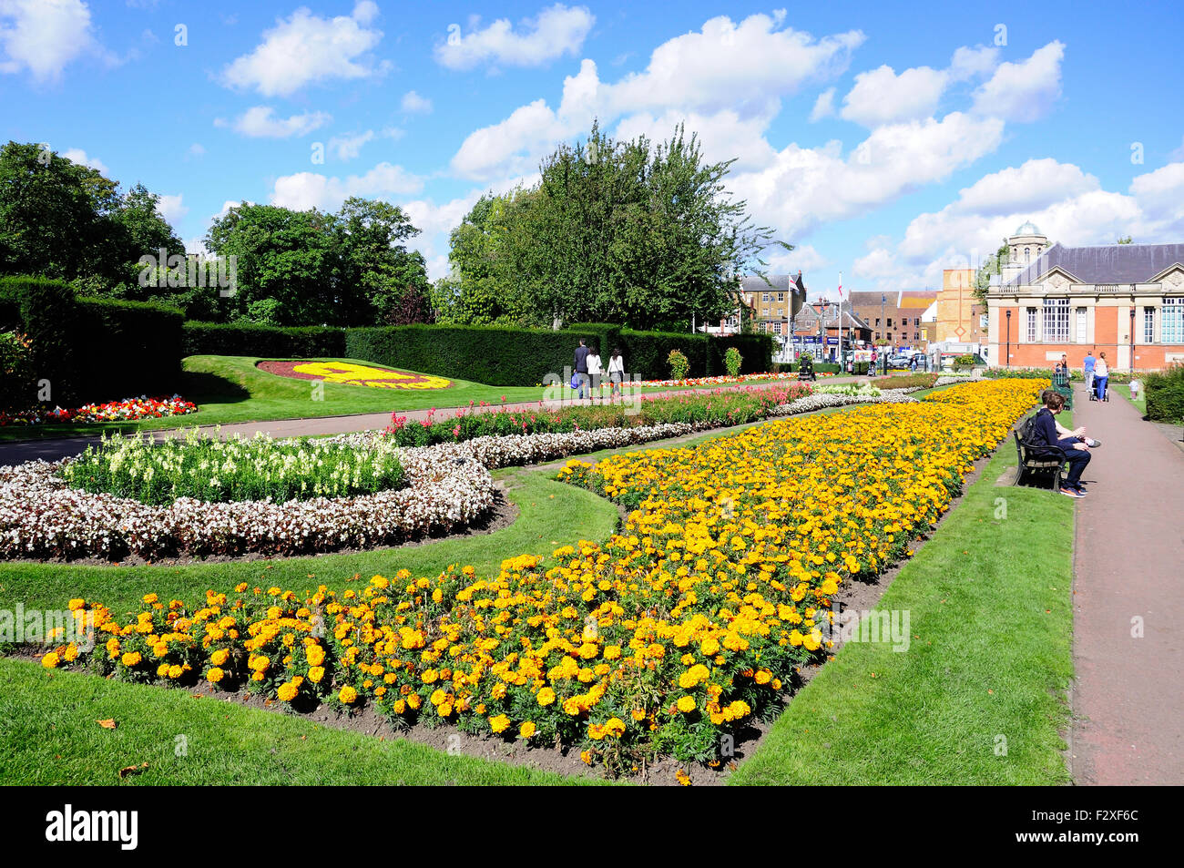 Letti di fiori, Central Park, Dartford Kent, England, Regno Unito Foto Stock