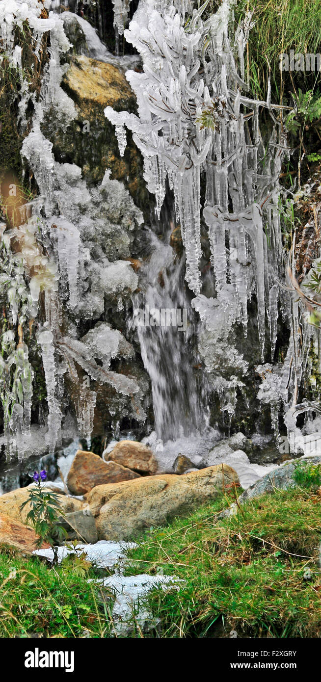 In Spagna, le montagne dei Pirenei goccioline di ghiaccio su un albero Foto Stock