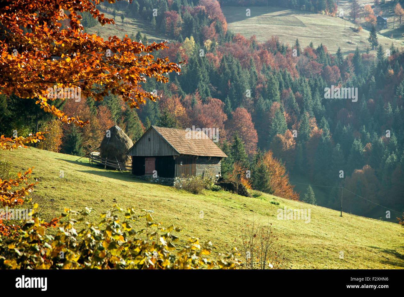 Colorato paesaggio autunnale nel villaggio di montagna, mattina nelle montagne dei Carpazi. Transilvania,Romania l'Europa. Foto Stock