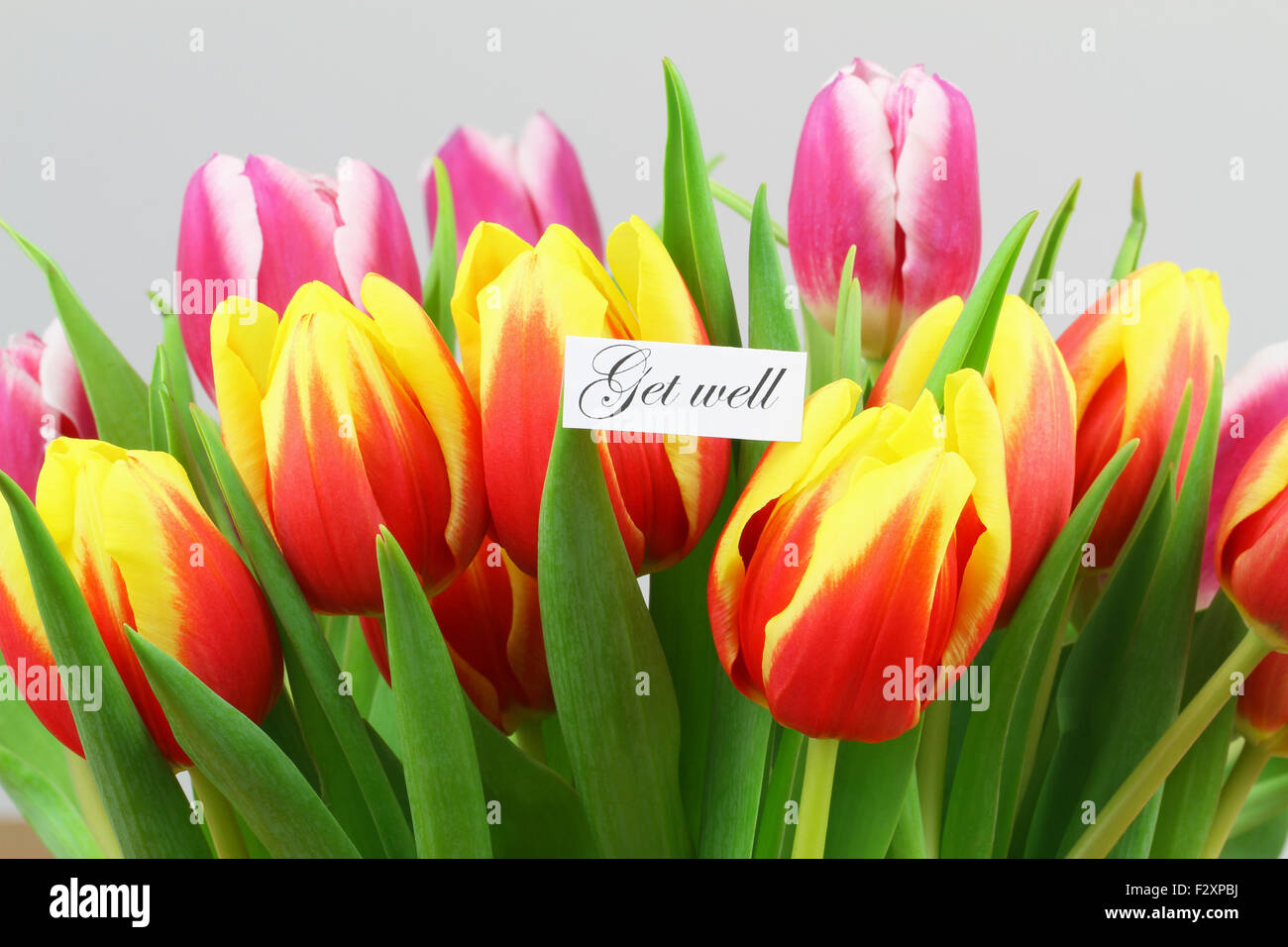 Get Well card con tulipani colorati Foto Stock