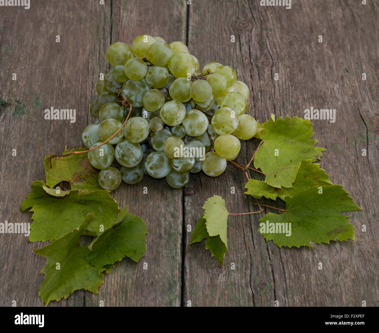 Grappolo di uva con foglie su un tavolo di legno, una vita ancora Foto Stock