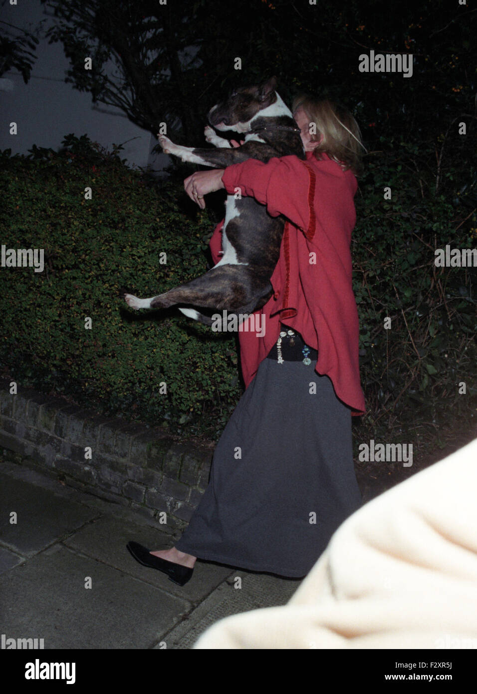 Il visconte Linley e serena vi prendono cane per un giro in auto 5 pics, /9./998 (immagine di credito©Jack Ludlam) Foto Stock