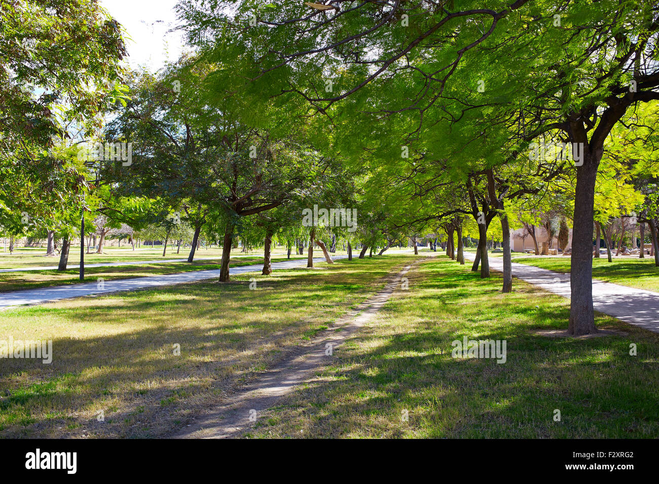 Valencia Cauce fiume Turia Park alberi e tracce in Spagna Foto Stock