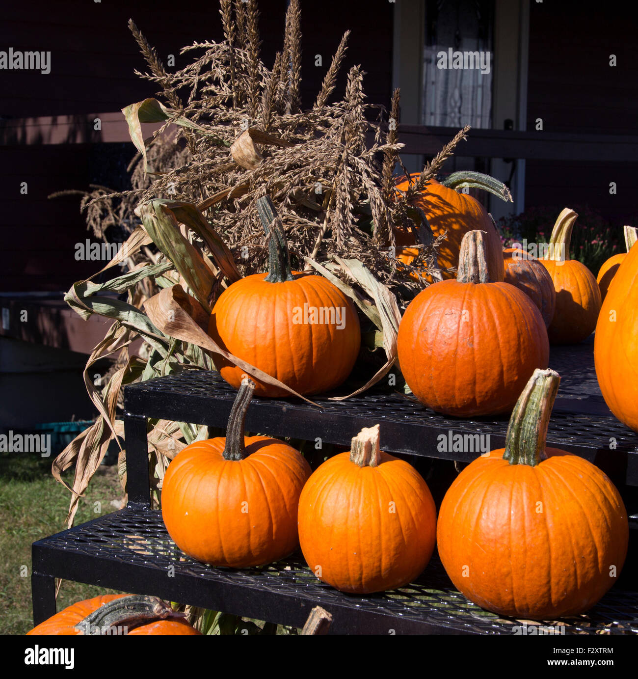 Classic Red camion usato internazionale utilizzato come un display di zucca Foto Stock