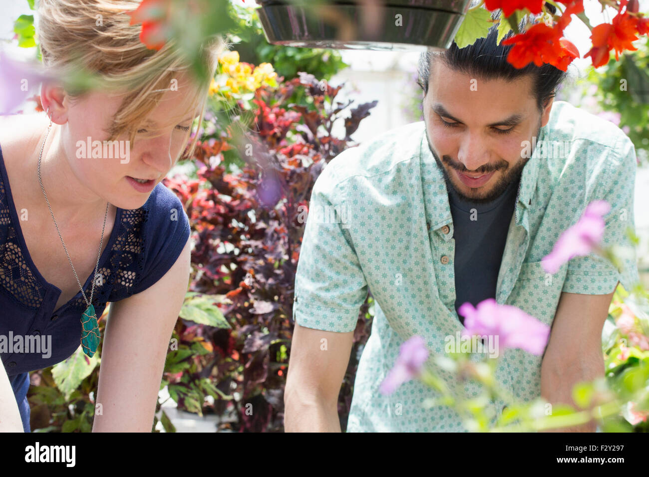 Un uomo e una donna in un centro giardino, sia guardando verso il basso. Foto Stock