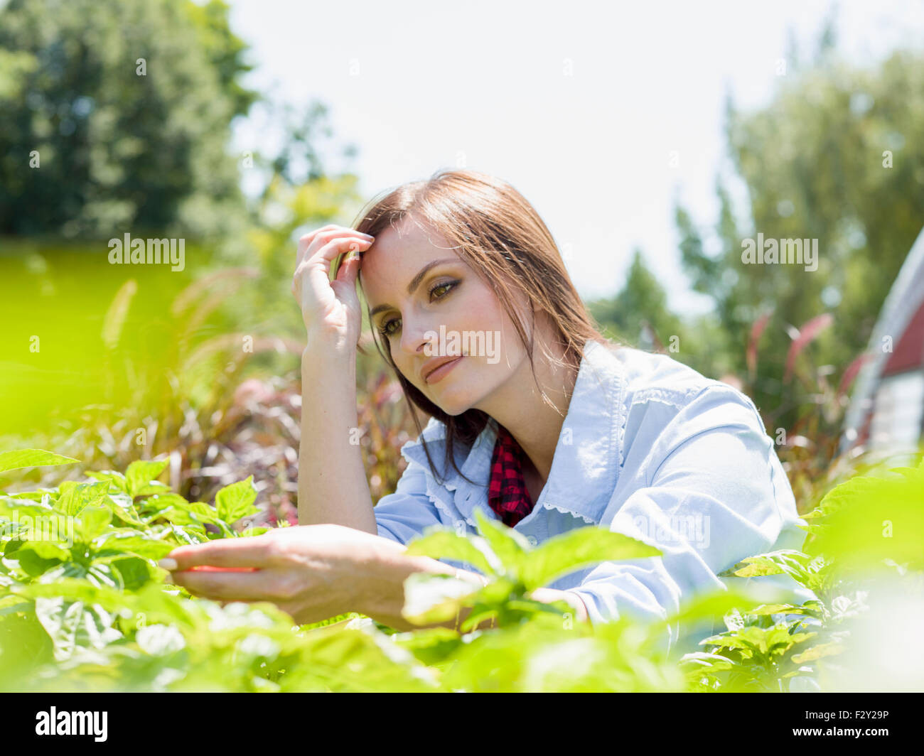 Una giovane donna in piedi da rastrelliere di piante in un vivaio commerciale. Foto Stock